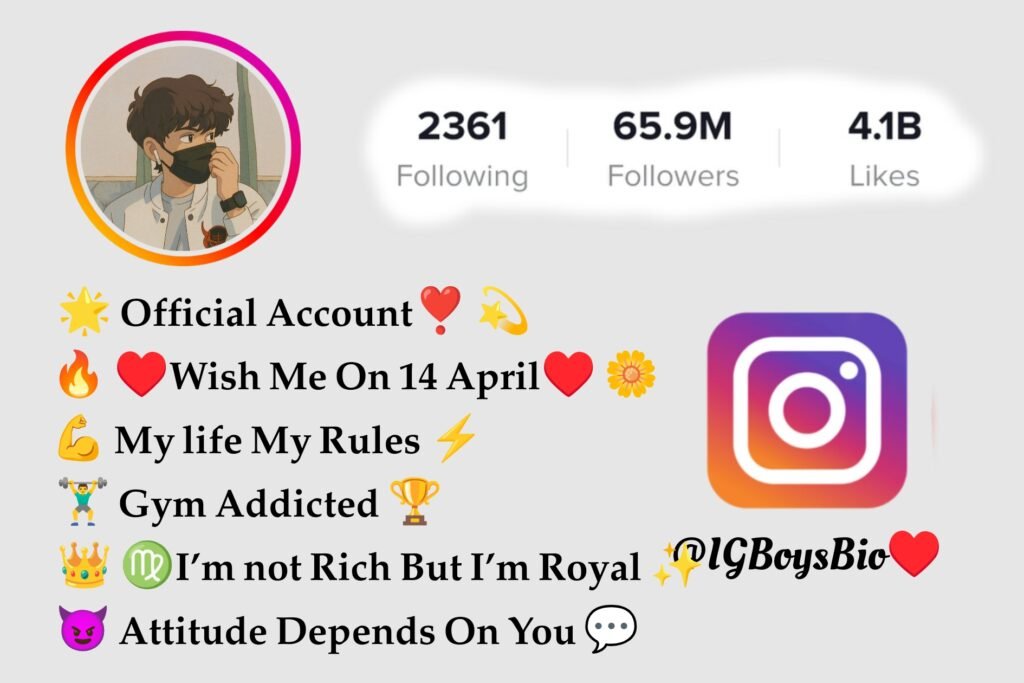 Bihari Bio For Instagram