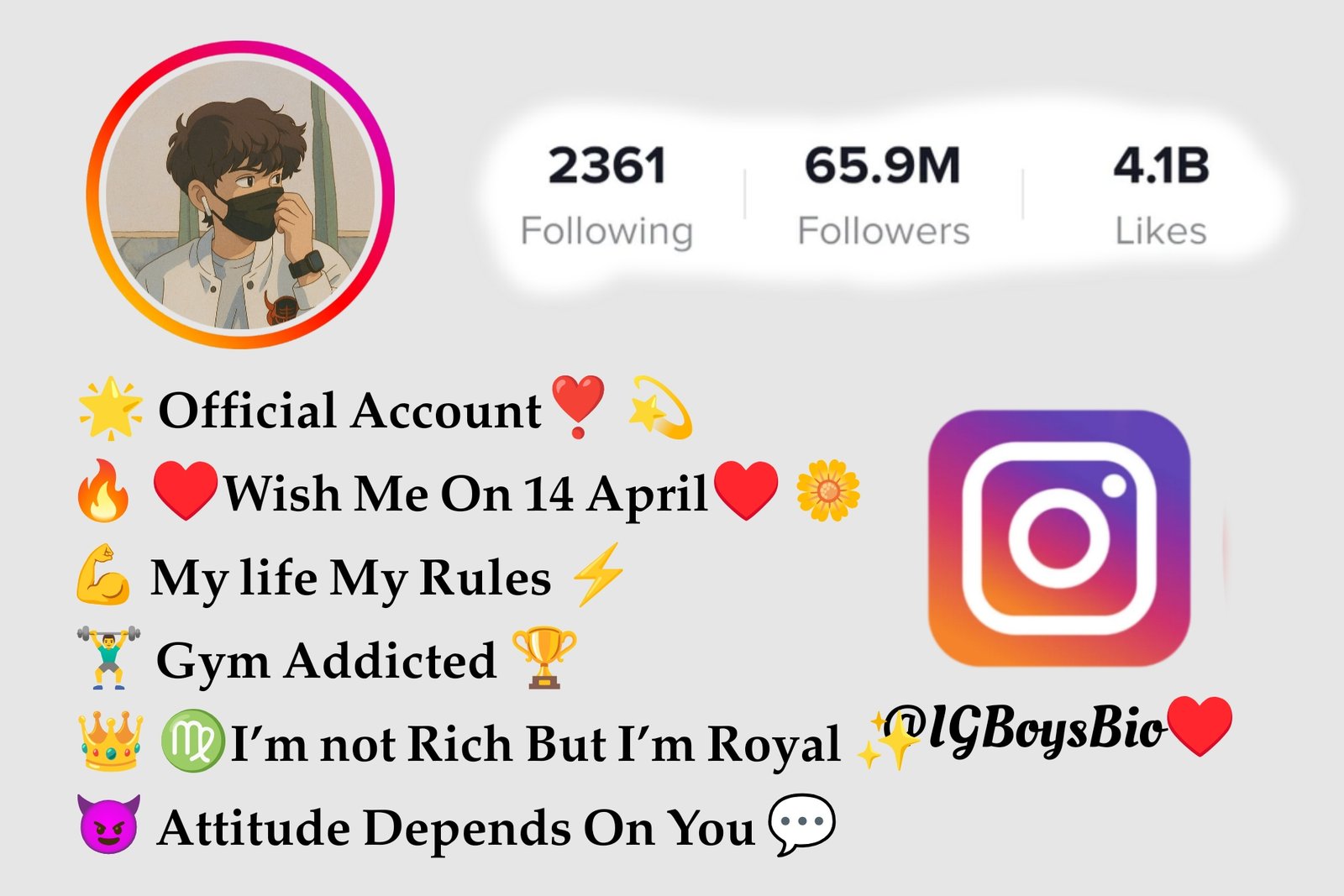 Bihari Bio For Instagram