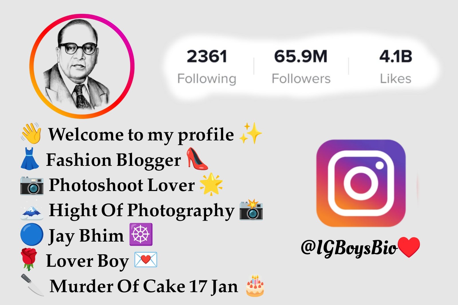 Jay Bhim Bio For Instagram